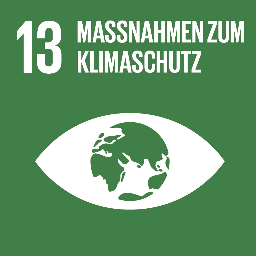 SDG-icon-DE-13.jpg