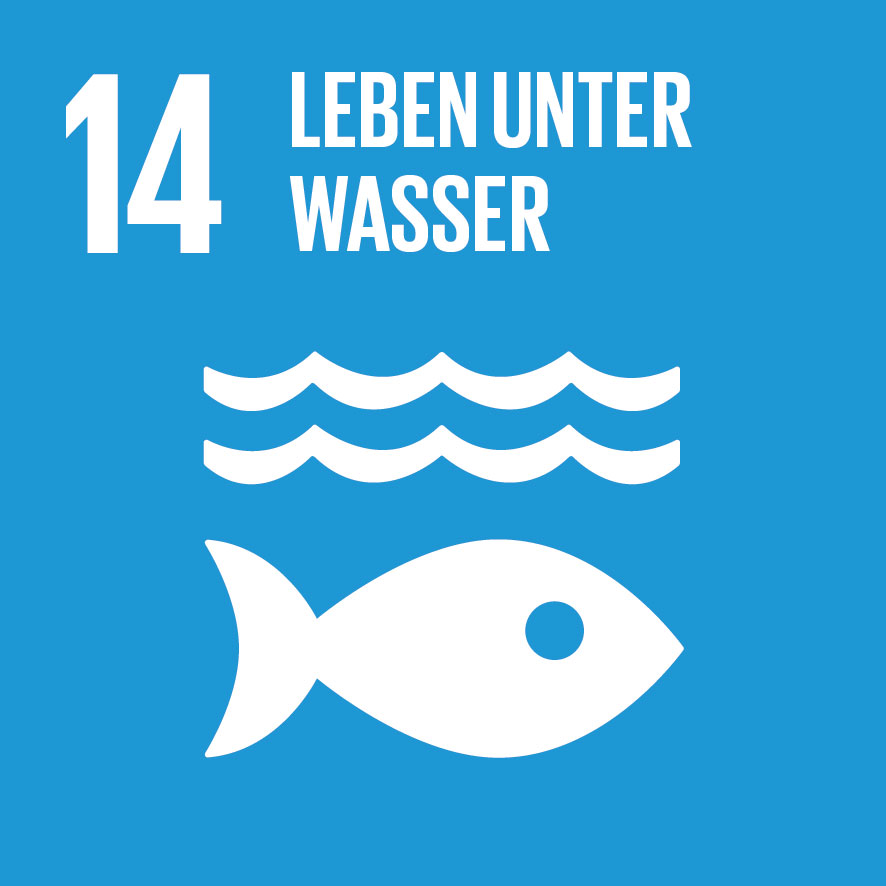 SDG-icon-DE-14.jpg